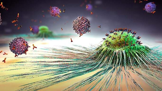 1690552844776284.jpg pancreatic cancer spreads new research chicago.jpg