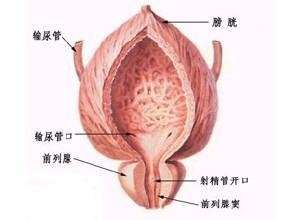 国内最好的前列腺癌医院排名 | 全国治疗癌症权威医院盘点
