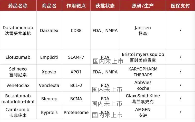 多发性骨髓瘤2022年治疗方法和新药|附中美治疗差异